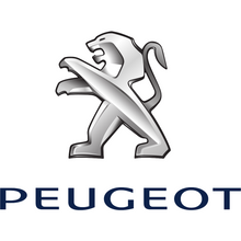 Load image into Gallery viewer, Peugeot Front Parking Camera