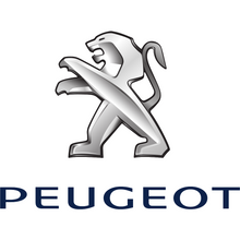 Load image into Gallery viewer, Peugeot Reversing Camera
