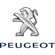 Peugeot Reversing Camera
