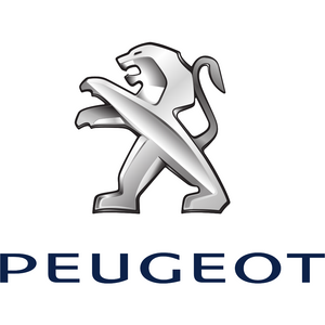 Peugeot Electric Tailgate