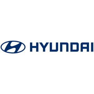 Hyundai Electric Tailgate