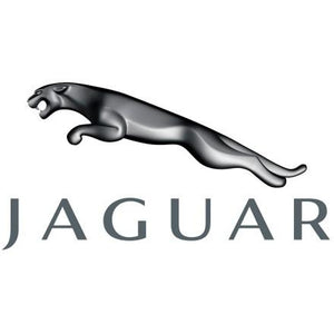 Jaguar Front Parking Camera